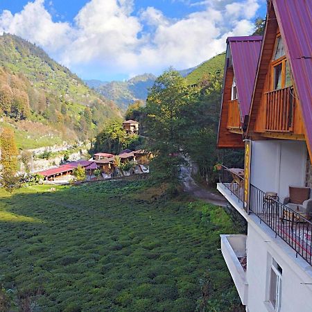 Naturel Apart Bungalow Villa Çamlıhemşin Eksteriør billede