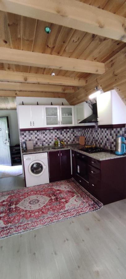 Naturel Apart Bungalow Villa Çamlıhemşin Eksteriør billede